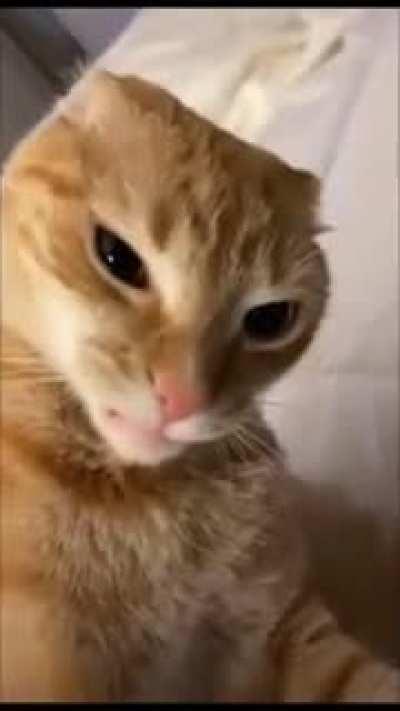 This is the most evil airplane you will see today.