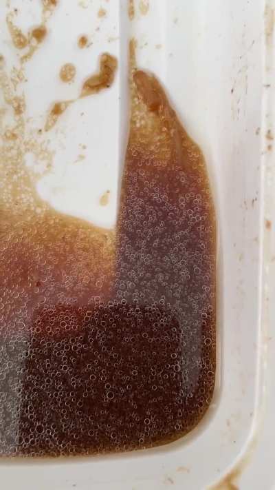 You can see the fat mixed in the sauce separating