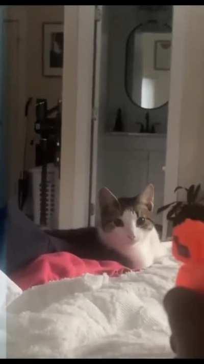 Bro admitted his defeat with that head turn