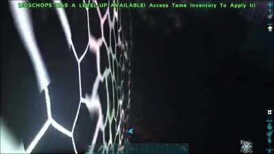 WHAT THE HELL JUST HAPPENED