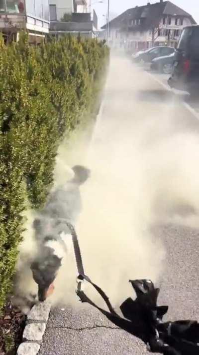 Bro thinks he’s a bee…