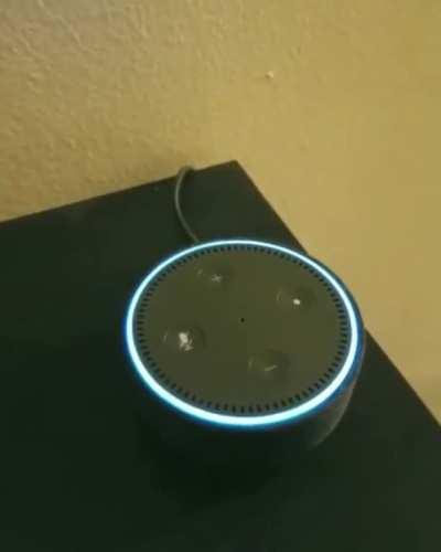 Title ko alexa chahiye