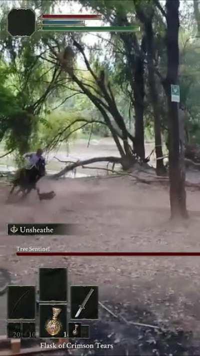 meanwhile, in the lands between of chile