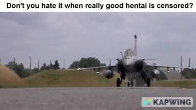 Awww, the French are blurring Rafale-chan's MASSIVE, THROBBING, ASMP-A pre-strategic air-launched nuclear cruise missile..... :(