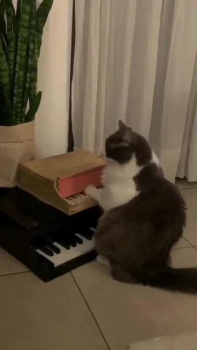 Новый Скот Сторч