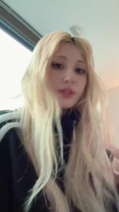 240201 TikTok Update