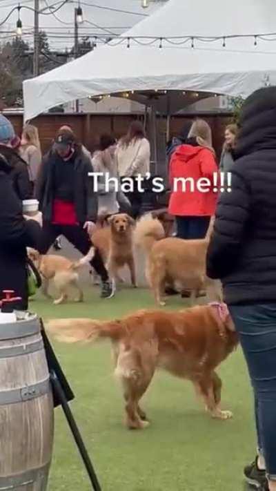 This stressed me more than it should have.