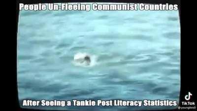 My literacy statistics 😢