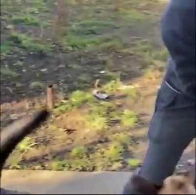 This German Shepherd will make sure no one hurts this little boy.