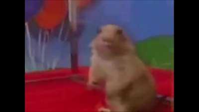 Prairie Dog Vine Boom