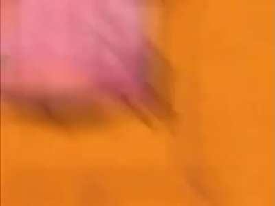 Sentinels of Light event in a nutshell.