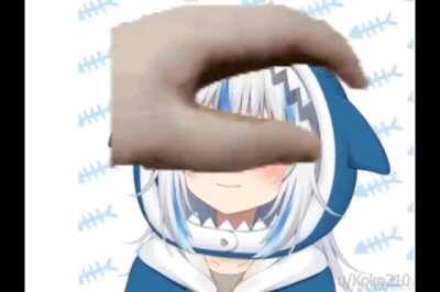 Do not pet the Shark