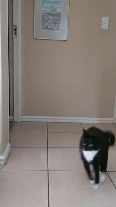 She recently learned how to do backflips