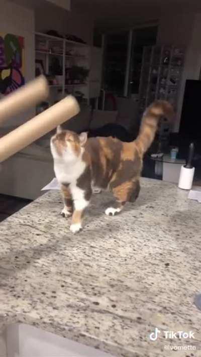 She demands the drum