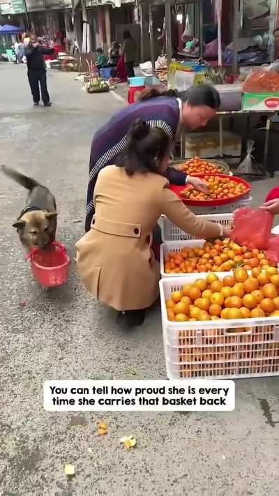 She takes her basket and head to market like a sweatest helper!