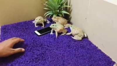 the jig is up, they know how to use the internet and you cant stop them now