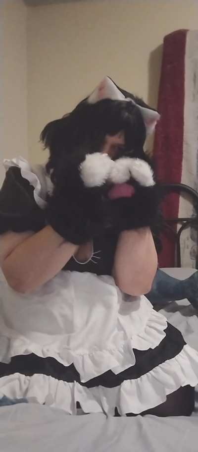 Who needs a kitty maid to clean up for them :3