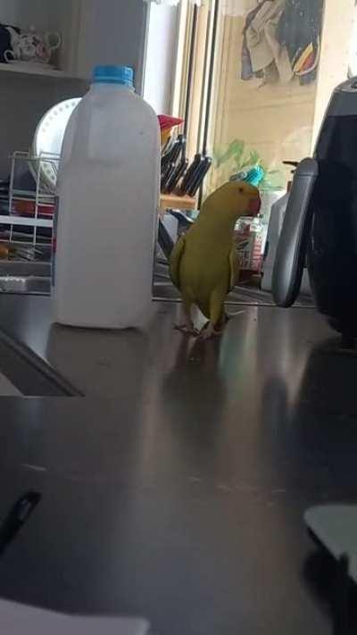 I swear Dad, I'm not doing anything wrong!