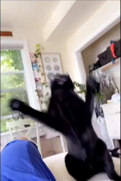 You can't escape my fluid body movement