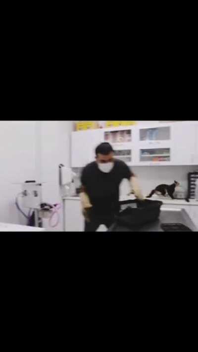 Not too happy to be at the vet...