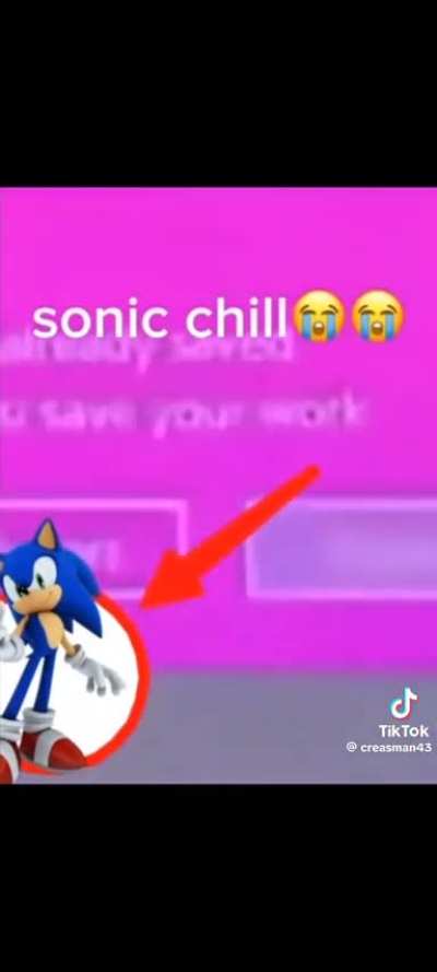 Sonic's Computer Was Designed By The Eggman Empire.