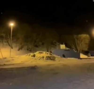 When a pile of snow can't keep you safe from fireworks.