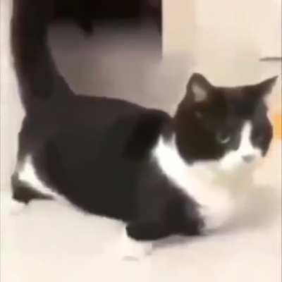 Lyrics: Were going on my toes yeah yeah you aint with the gang you dont know the code, hit up cell phones think im ...... / would love help