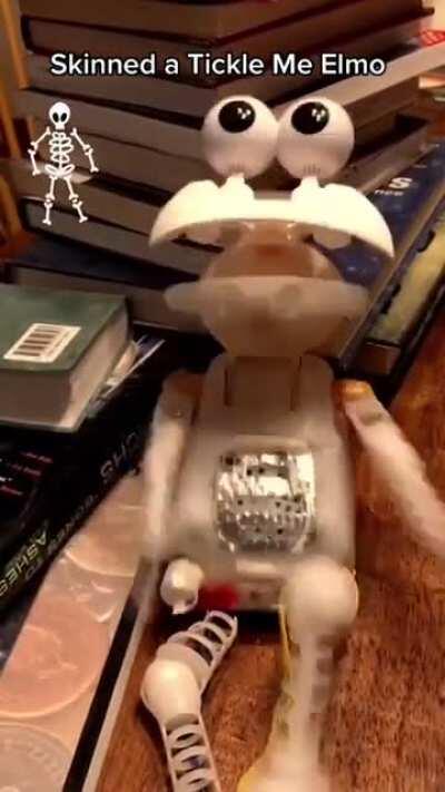 Thanks, I hate skinned Tickle Me Elmos