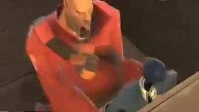 Cooking with heavy and pootis bird