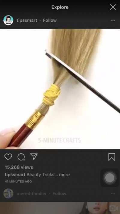 Just go ahead and chop your hair off in a random place, so you can make a brush that is probably much worse than any cheap makeup brush you can find at the drug store