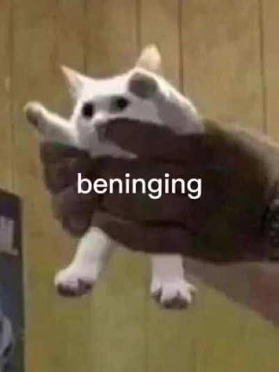 In de beninging 💀