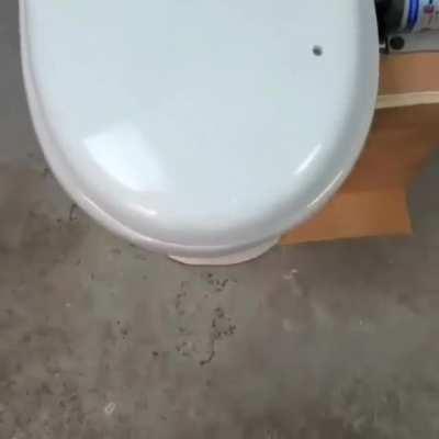 Калохват Шрёдингера