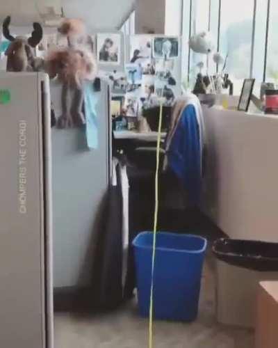 Alright who brought their kid to wo-OH!