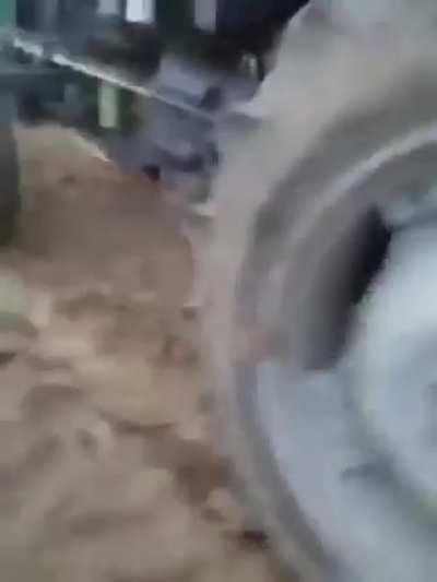 To Break Up A Dog Fight