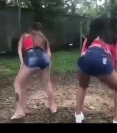 To Twerk….