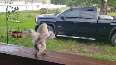 This video never fails to crack me up.