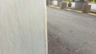 OH MY GOD I ACTUALLY CAUGHT JOHN CENA MASTURBATING IN PUBLIC