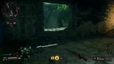 LMAO imagine this emote in CODM.