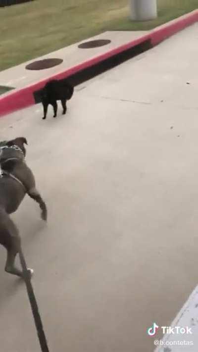 Caught Creed lacking smh🤦‍♂️