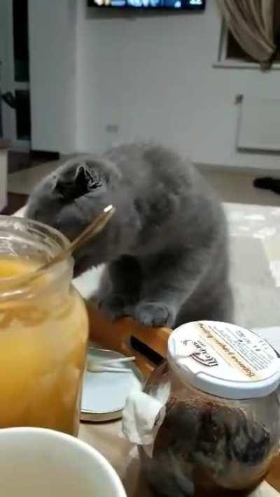 Very curious, but cautious little one