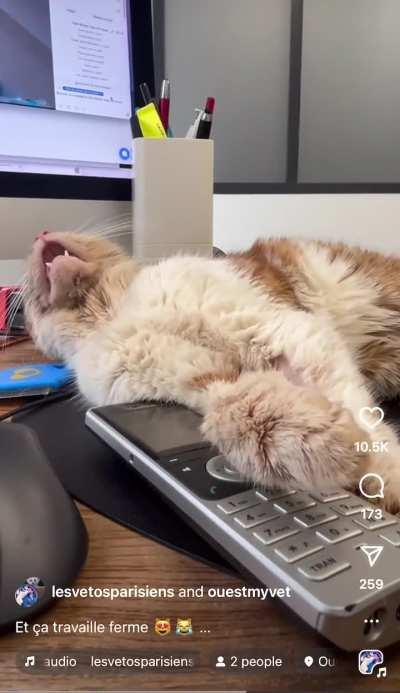 Dangerous levels of eep