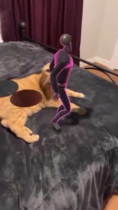 kiteewdty5cfggttcseeee...