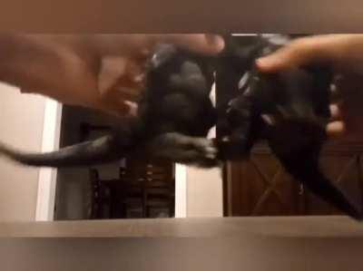 The battle you've all been waiting for...