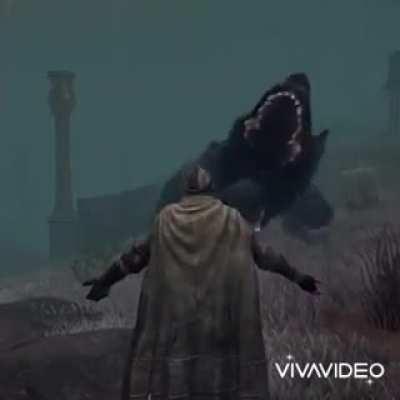 You can't pet dogs in Elden Ring