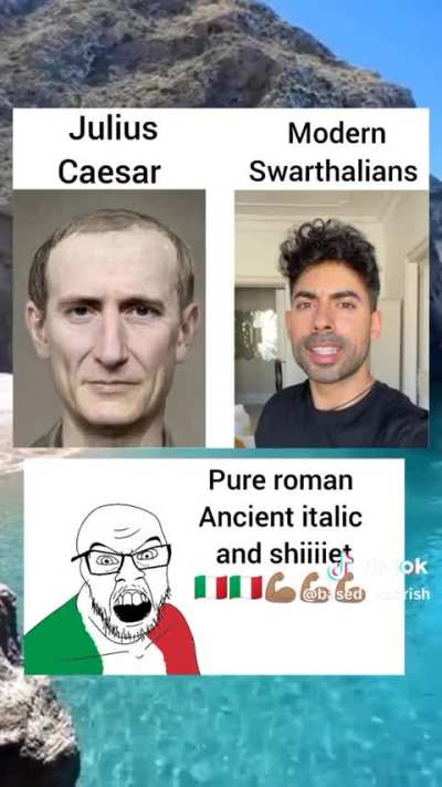 italian bros , what the hell happened?