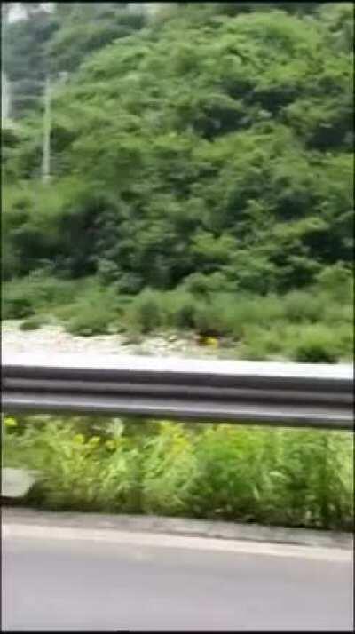 Хотелось по-быстрому