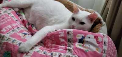 He likes to make cute sounds when he is startled.