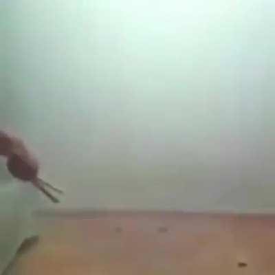 fireworks and nipples