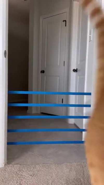 The moment where he calculates