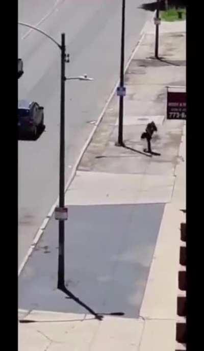 LL: Throwing rocks into traffic can have a harmful outcome